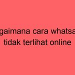 bagaimana-cara-whatsapp-tidak-terlihat-online_11375.jpg