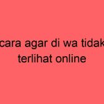 cara-agar-di-wa-tidak-terlihat-online_11239.jpg
