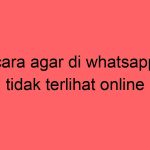 cara-agar-di-whatsapp-tidak-terlihat-online_11238.jpg