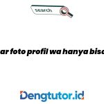 cara-agar-foto-profil-wa-hanya-bisa-dilihat-beberapa-orang_4624.jpg