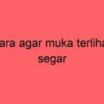 cara-agar-muka-terlihat-segar_11236.jpg