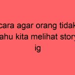 cara-agar-orang-tidak-tahu-kita-melihat-story-ig_11232.jpg