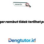 cara-agar-rambut-tidak-terlihat-panjang_4621.jpg