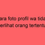 cara-foto-profil-wa-tidak-terlihat-orang-tertentu_11223.jpg