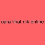 cara-lihat-nik-online_11221.jpg