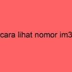 cara-lihat-nomor-im3_11220.jpg