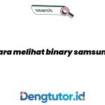 cara-melihat-binary-samsung_4575.jpg