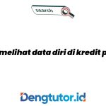 cara-melihat-data-diri-di-kredit-pintar_4931.jpg