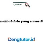 cara-melihat-data-yang-sama-di-excel_4929.jpg
