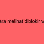 cara-melihat-diblokir-wa_11202.jpg