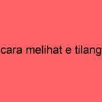 cara-melihat-e-tilang_11201.jpg