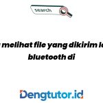 cara-melihat-file-yang-dikirim-lewat-bluetooth-di-android_4913.jpg