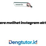 cara-melihat-instagram-aktif_4854.jpg