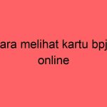cara-melihat-kartu-bpjs-online_11344.jpg