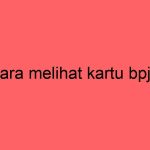 cara-melihat-kartu-bpjs_11469.jpg