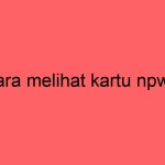 cara-melihat-kartu-npwp_11467.jpg