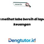 cara-melihat-laba-bersih-di-laporan-keuangan_4813.jpg