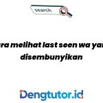 cara-melihat-last-seen-wa-yang-disembunyikan-tanpa-aplikasi_4808.jpg