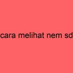 cara-melihat-nem-sd_11332.jpg