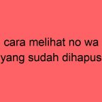 cara-melihat-no-wa-yang-sudah-dihapus_11448.jpg