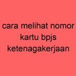 cara-melihat-nomor-kartu-bpjs-ketenagakerjaan_11442.jpg