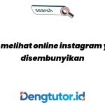cara-melihat-online-instagram-yang-disembunyikan_4763.jpg