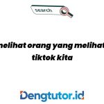 cara-melihat-orang-yang-melihat-video-tiktok-kita_4759.jpg