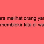 cara-melihat-orang-yang-memblokir-kita-di-wa_11315.jpg