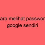 cara-melihat-password-google-sendiri_11310.jpg