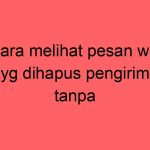 cara-melihat-pesan-wa-yg-dihapus-pengirim-tanpa-aplikasi_11416.jpg