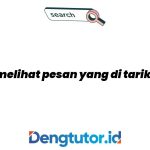 cara-melihat-pesan-yang-di-tarik-di-wa_4732.jpg