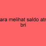 cara-melihat-saldo-atm-bri_11288.jpg