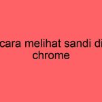 cara-melihat-sandi-di-chrome_11407.jpg