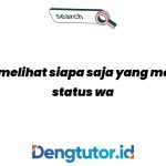 cara-melihat-siapa-saja-yang-melihat-status-wa-kita_4701.jpg