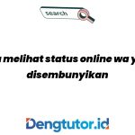 cara-melihat-status-online-wa-yang-disembunyikan_4689.jpg