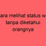 cara-melihat-status-wa-tanpa-diketahui-orangnya_11273.jpg