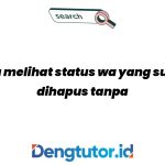 cara-melihat-status-wa-yang-sudah-dihapus-tanpa-aplikasi_4688.jpg