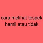 cara-melihat-tespek-hamil-atau-tidak_11270.jpg