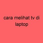 cara-melihat-tv-di-laptop_11266.jpg