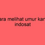 cara-melihat-umur-kartu-indosat_11389.jpg