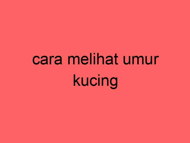 cara-melihat-umur-kucing_11388.jpg