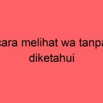 cara-melihat-wa-tanpa-diketahui_11386.jpg
