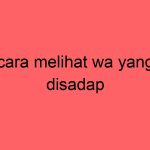 cara-melihat-wa-yang-disadap_11259.jpg