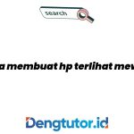 cara-membuat-hp-terlihat-mewah_4643.jpg