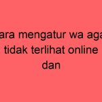 cara-mengatur-wa-agar-tidak-terlihat-online-dan-centang-biru_11380.jpg