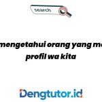 cara-mengetahui-orang-yang-melihat-profil-wa-kita_4637.jpg