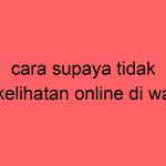 cara-supaya-tidak-kelihatan-online-di-wa_11246.jpg