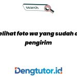 cara-melihat-foto-wa-yang-sudah-dihapus-pengirim_5203.jpg