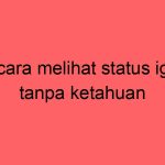 cara-melihat-status-ig-tanpa-ketahuan_11810.jpg