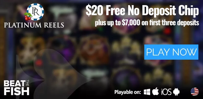 PLATINUM-REELS-CASINO-HEADER-jpg.webp